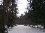 РОЩИНО