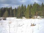 Продам земельный участок 23,4 сотки в Ильичево, 40км от СПб, земли населенных пунктов, ИЖС, собственность