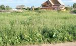 Продам зем.участок в д.Колчаново,Волховский р-он Ленинградской обл.