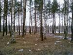 участок