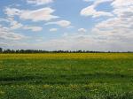 Продам участок 2Га рядом с Касимово (Агалатово) 14км Приозерского шоссе