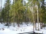 Продам участок в Елизаветинке