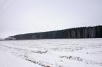 Участки Сысерть, д.Ольховка 6, 9, 12 соток