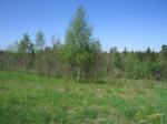 Участок 30 соток ИЖС на опушке леса, 500м два больших озера