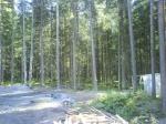 Репино-Ленинское 25 ИЖС соток в элитном месте