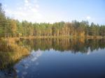 Участок со старым домом 5*8, 100м озеро и сосн. боры