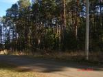 Сысерть, участок в лесном массиве. 20с