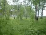 Продам участок в новом коттеджном поселке р.Ока.