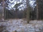 12 соток ИЖС рядом с заливом около п. Советский