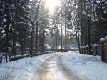 Ленинградское ш. 10 км от МКАД. В стародачном поселке предлагается лесной участок 52 сотки с центральными коммуникациями, электричество – 50 кВт. Участок с вековыми елями, огорожен, охрана, ИЖС, ПМЖ, тихо, до реки Сходня 100 м. Собственник. 26 млн. руб.