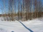 Дмитровское шоссе, 90 км. от МКАД, станция Мельдино, 6 сот.