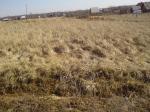 Продам участок в Новгородской области 30 км от г.Новгорода.В деревне Пятница.