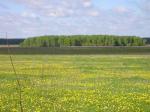 Участок 20, 40, 60 соток, Раменский р-н, с. Заворово.