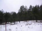участок 25соток в Приозерском районе, д.Васильево. ИЖС. газ.свет.