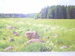 продам зем. участок 80 км от СПб