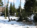 Продам участок в Касимово, Всеволожский район