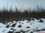 10 соток
