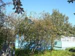 Дмитровское ш. 65 км от МКАД. Деревянный дом на участке 25 сот. ПМЖ.