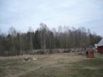 Продается участок!!! 23 сотки. Новорижское ш., 50 км от МКАД, д. Андреевское