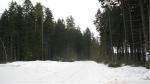 Ольшаники. Участок 12соток.