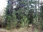 Ново-Рязанское ш., 24 км от МКАД, Кратово, ИЖС. Участок 35 соток в элитном стародачном поселке