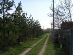 Ленинградское ш. 8км от МКАД -д. Носово. Любители горных лыж обратите внимание, рядом с д. Носово в небольшом садовом товариществе участок