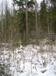 Замечательный Участок Идс 10 соток возле озера Лебединое