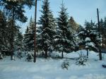 Продается участок в п. Вырица