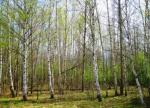 Продам земельный участок в Солнечногорском районе