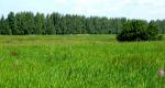 Продам земельный участок 10сот.