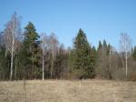 Продам участок 5 га, Пятницкое ш., 45 км от МКАД. Район Истринского водохранилища