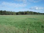 Продам участок 11,8 га, Волоколамское или Пятницкое ш., 35 км от МКАД, п. Холмы