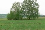 Продаю участок в Тверской обл. Панюково