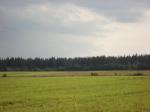 Земельный участок площадью 10,1 Га