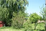 Продается участок с лесными деревьями и садом, Новорижское шоссе, Звенигород (Ершово)