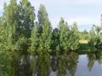 Участок у реки Сабля-Нерль 20м от реки, 150км от Мкад