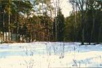 Участок г. Горки 10, Рублёво-Успенское ш., 700 кв.м