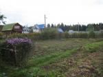 Участок Ленинградское шоссе 42 км. от МКАД д. Скородумки