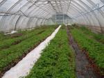 Продажа поместья - базы в Финляндии