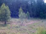 Участок 18 сот., Ленинградское ш., 38 км от МКАД