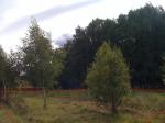 Участок 18 сот., Ленинградское ш., 35 км от МКАД