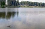 Купить землю в подмосковье