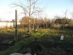 Участок 30 соток – (Дом под снос) с видом на церковь в д. Ильинское Волоколамского района (110км). Идеальный вариант для покупки. в собственности. Храм в 33 метрах.Обжитая деревня с инфраструктурой. Площадь дома 70м. вода и