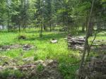 Продам участок 20сот, д. Алексеевкое, ленинградское шоссе 36км от Мкад, ИЖС