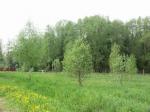 Участок 18 сот., Ленинградское ш., 35 км от МКАД
