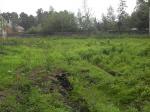 18 соток в стародачном поселке Ильинский