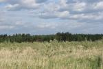 Участок, поселок, деревня, школа, церковь