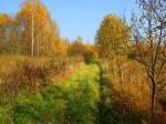 Продается участок в деревне Кукишево Волоколамского района