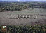 Ровный земельный участок с лесом по Киевскому