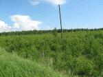 Продаются земельные участки на берегу Горьковского водохранилища
